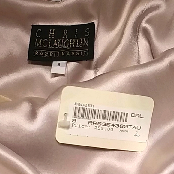 🔥NWT Chris Mclaughlin Formal Scarf Dress - Picture 14 of 16